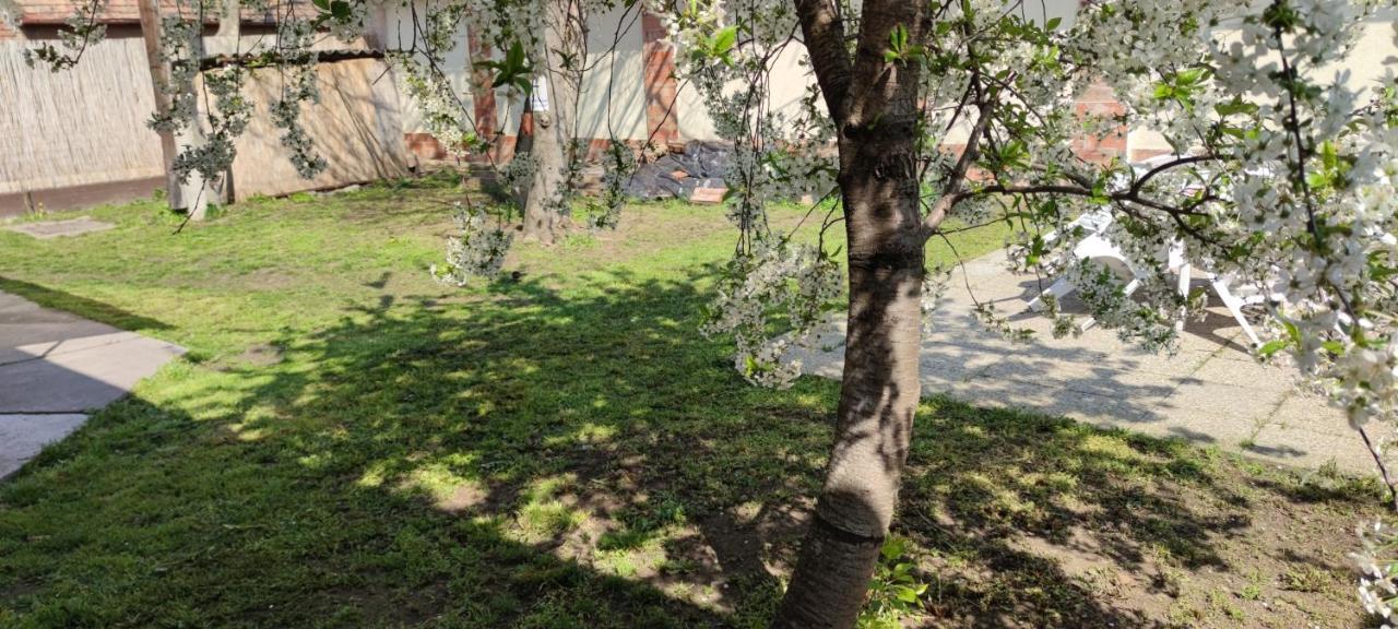 Orsi Apartman / Vendeghaz Kecskemét Exteriér fotografie