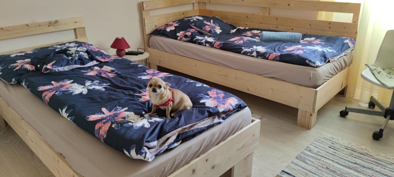 Orsi Apartman / Vendeghaz Kecskemét Exteriér fotografie
